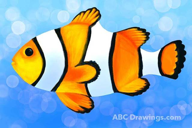 A Fish To Draw