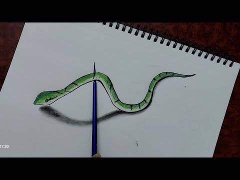 Abstract Snake Drawing