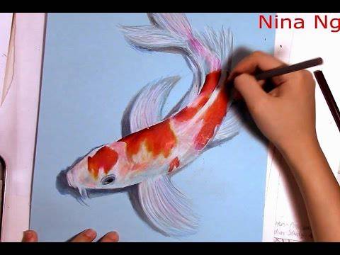 Angelfish Drawing