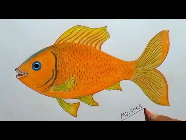 Aquarium Tank Drawing