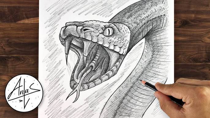 Basic Snake Drawing