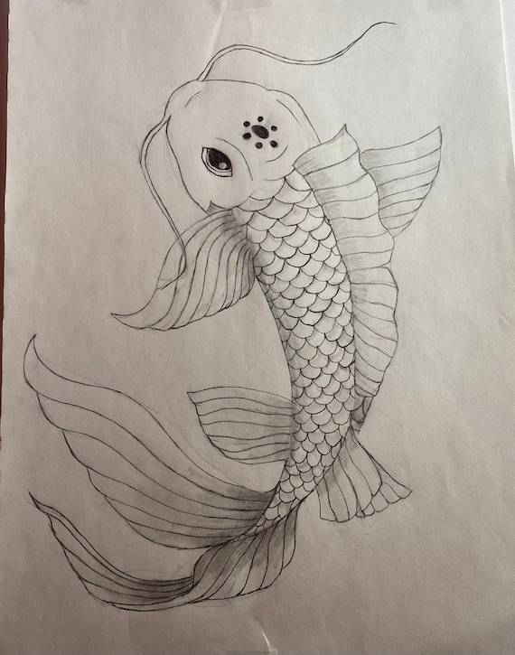 Bass Fish Drawing Easy