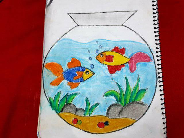 Best Fish Drawing