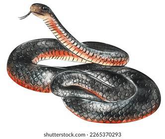 Big Snake Drawing