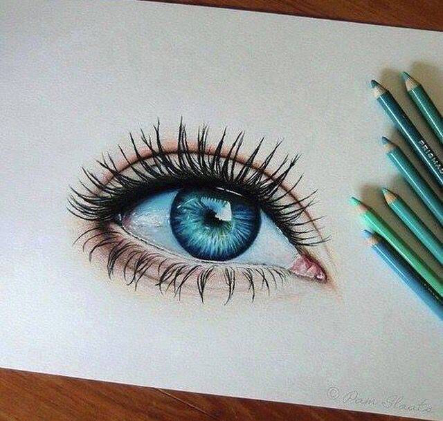 Bird Eye Drawing