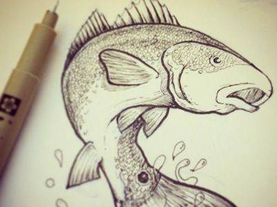 Cartoon Cute Fish Drawing