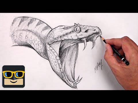 Cartoon Snake Head Drawing