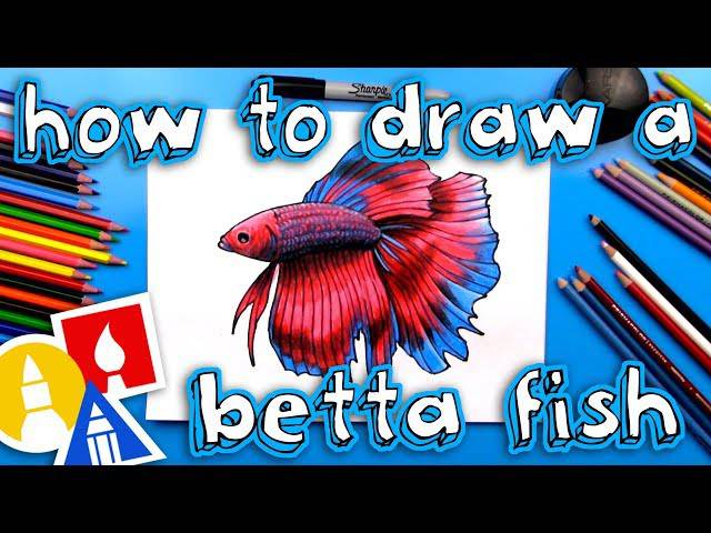 Catfish Drawing Color