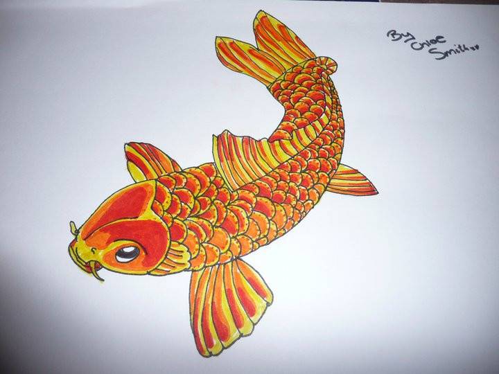 Catfish Pencil Drawing