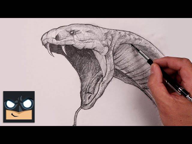 Cobra Kai Snake Drawing