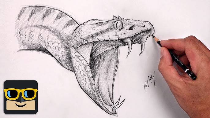 Cobra Pencil Sketch