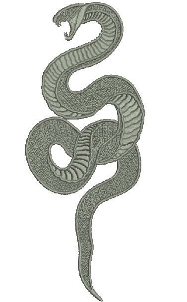 Color Snake Drawing