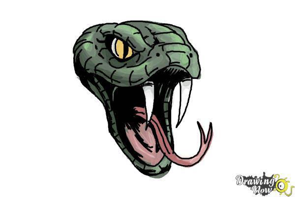 Cool Snakes To Draw