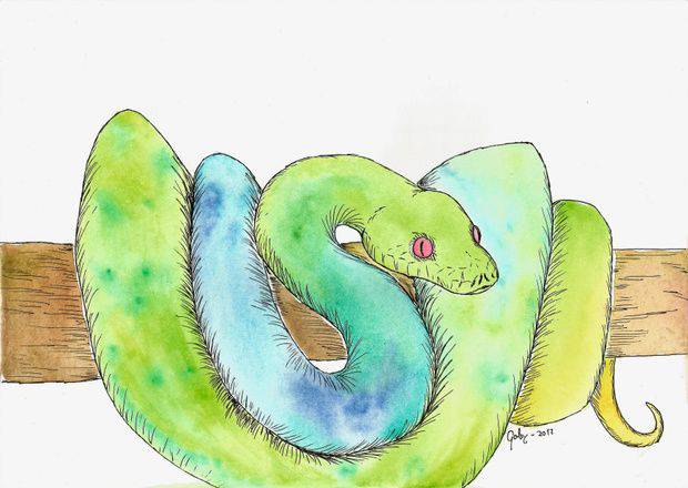 Draw A Cartoon Snake