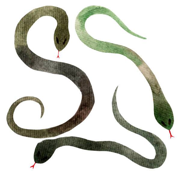 Drawing Of A Serpent