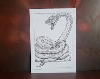 Easy Cartoon Snake Drawing