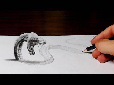 Garden Snake Drawing