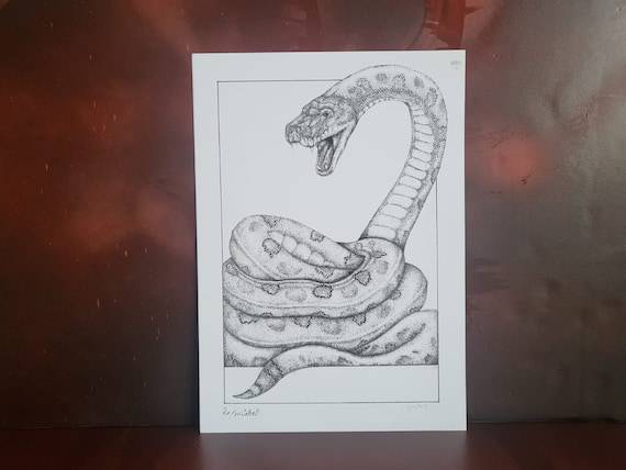 King Cobra Images Drawing