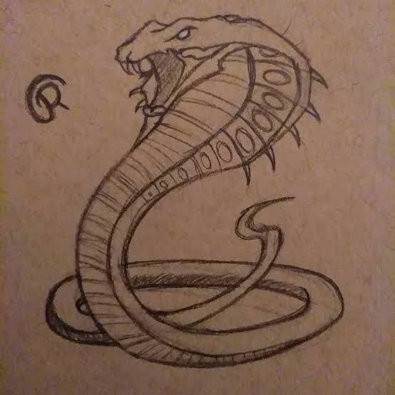 Picture Of A Snake To Draw