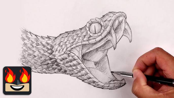 Rattlesnake Drawing Images