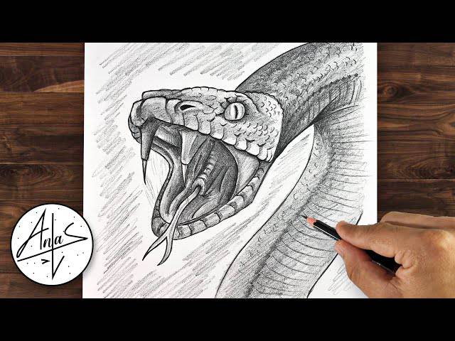 Realistic Drawings Of Snakes