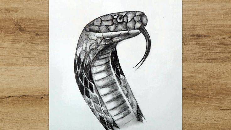 Serpent Draw