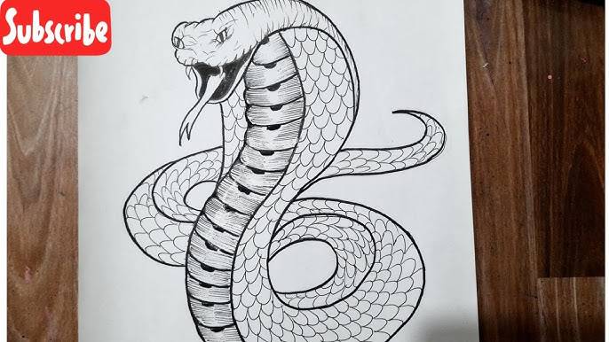 Simple Drawing Snake