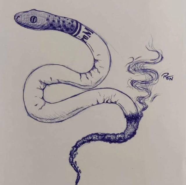 Snake And Moon Drawing