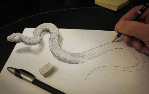 Snake Colour Drawing