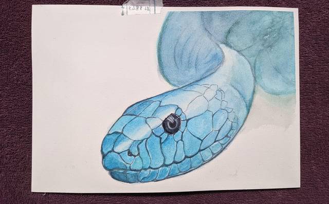 Snake Drawing Painting